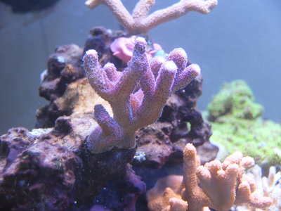 DSCF4294.JPG