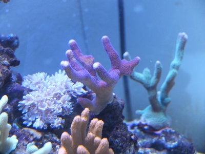 DSCF4298.JPG