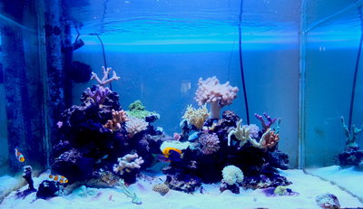 DSCF4299.JPG