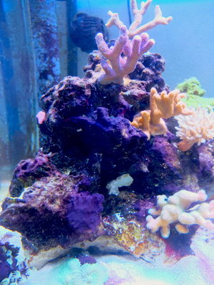 DSCF4302.JPG