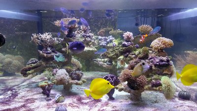 20160307_200532.JPG