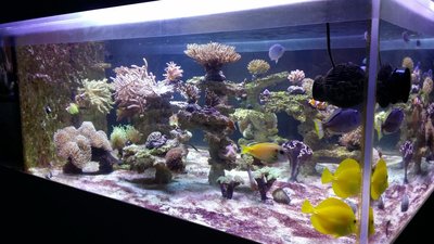20160307_200541.JPG