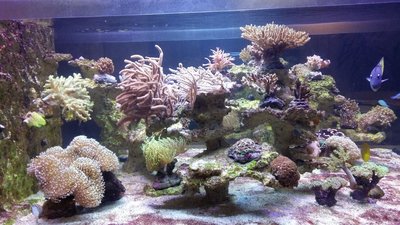 20160307_200625.JPG