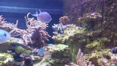 20160307_200603.JPG