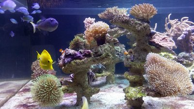 20160307_200554.JPG