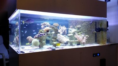 20160307_200520.JPG