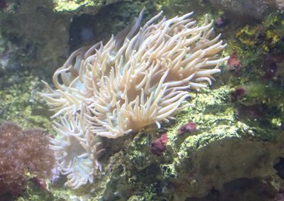IMG-20160311-WA0001[1].jpg