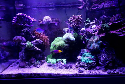 2016_03_13-01.JPG
