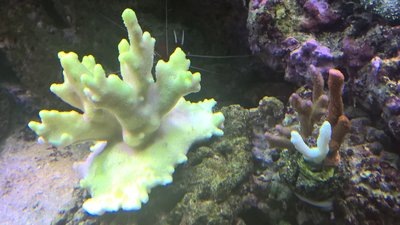 WP_20160313_19_15_52_Pro.jpg