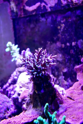 2016_03_13-02.JPG
