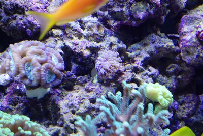 DSC01326.JPG
