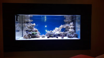 20160316_190058.jpg