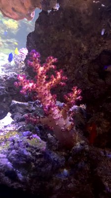 WP_20160316_19_10_38_Pro.jpg