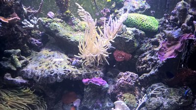 WP_20160316_19_10_32_Pro.jpg