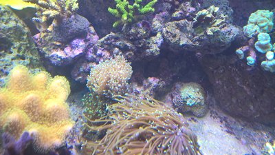 WP_20160316_19_10_02_Pro.jpg
