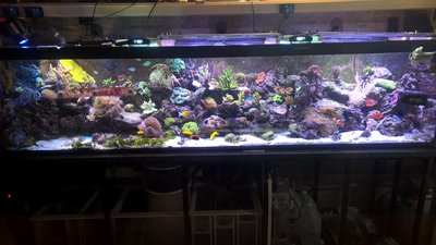 WP_20160318_11_14_40_Pro.jpg