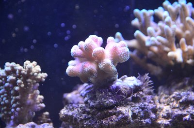 DSC_6608.JPG