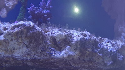 20160320_183718.jpg