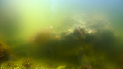 WP_20160321_15_07_47_Raw.jpg