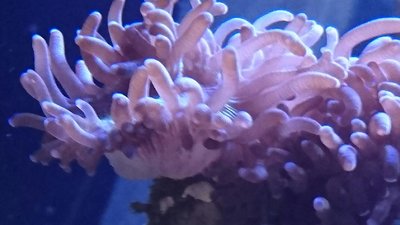 DSC_0361.JPG