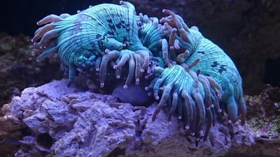 DSC_0364.JPG