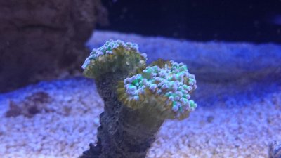 DSC_0369.JPG