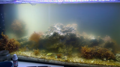 2016_03_23_becken.jpg