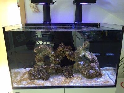 image1 2.JPG (103.52 KiB) 11157 mal betrachtet Reefer 250