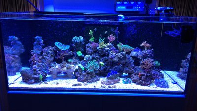 IMG_1207.JPG
