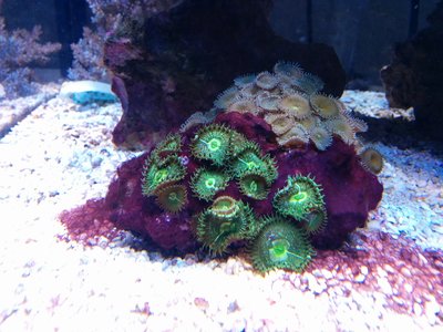 IMG_20160107_135609.jpg