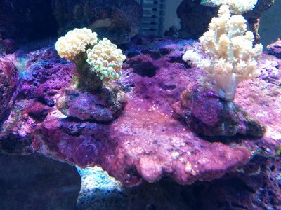 IMG_20160107_135616.jpg