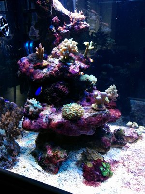 IMG_20160107_135629.jpg
