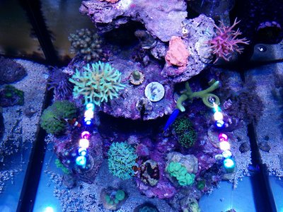 IMG_20160315_174927.jpg