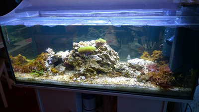 2016_03_31_Becken.jpg