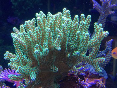 IMG_0649.jpg