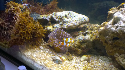 2016_04_05_Becken.jpg