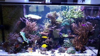IMG-20160410-WA0036.jpg