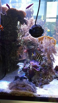 IMG-20160410-WA0032.jpg