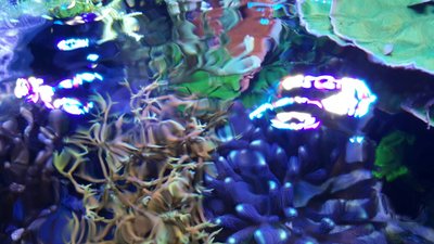 IMG-20160410-WA0020.jpg