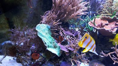 IMG-20160410-WA0022.jpg