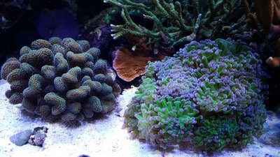 IMG-20160410-WA0023.jpg