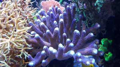 IMG-20160410-WA0027.jpg