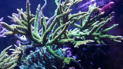 IMG-20160410-WA0028.jpg