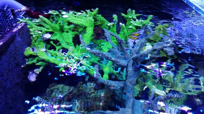 IMG-20160410-WA0030.jpg