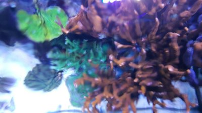 IMG-20160410-WA0033.jpg