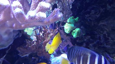 IMG-20160410-WA0034.jpg