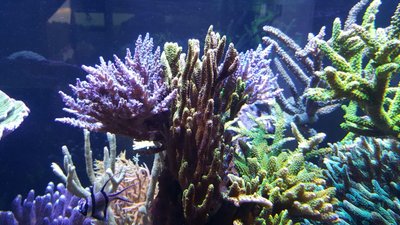 IMG-20160410-WA0035.jpg