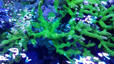 IMG-20160410-WA0037.jpg