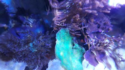 IMG-20160410-WA0038.jpg