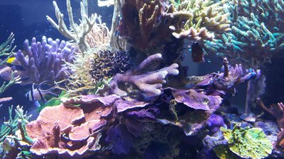 IMG-20160410-WA0039.jpg